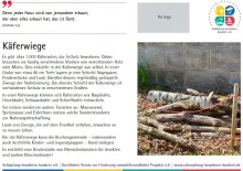 Die siebte der Lebensraumtafeln zum Thema Käferwiege