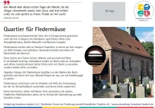 Die neunte der Lebensraumtafeln zum Thema Fledermäuse