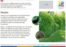 Die elfte der Lebensraumtafeln zum Thema Hecken