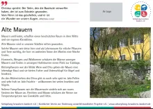 Die zwölfte der Lebensraumtafeln zum Thema alte Mauern