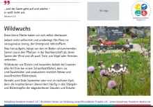 Die vierzehnte der Lebensraumtafeln zum Thema Wildwuchs