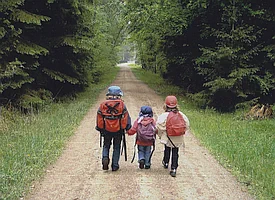 Drei kleine Kinder im Alter von etwa zwei bis fünf laufen einen waldweg entlang. mit dem Rücken zum Betrachter
